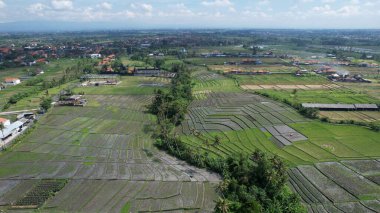 Bali, Endonezya - 11 Kasım 2022: Bali 'nin Turistik Çekim ve Yerleşkeleri