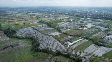 Bali, Endonezya - 11 Kasım 2022: Bali 'nin Turistik Çekim ve Yerleşkeleri