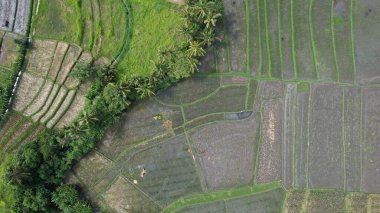 Bali, Endonezya - 11 Kasım 2022: Bali 'nin Turistik Çekim ve Yerleşkeleri