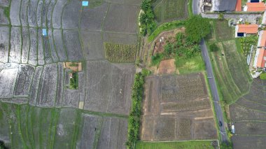 Bali, Endonezya - 11 Kasım 2022: Bali 'nin Turistik Çekim ve Yerleşkeleri