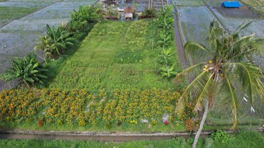 Bali, Endonezya - 11 Kasım 2022: Bali 'nin Turistik Çekim ve Yerleşkeleri