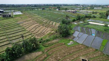 Bali, Endonezya - 11 Kasım 2022: Bali 'nin Turistik Çekim ve Yerleşkeleri