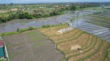 Bali, Endonezya - 11 Kasım 2022: Bali 'nin Turistik Çekim ve Yerleşkeleri