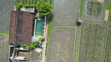 Bali, Endonezya - 11 Kasım 2022: Bali 'nin Turistik Çekim ve Yerleşkeleri