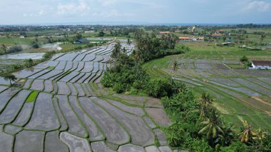 Bali, Endonezya - 11 Kasım 2022: Bali 'nin Turistik Çekim ve Yerleşkeleri