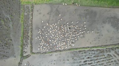 Bali, Endonezya - 11 Kasım 2022: Bali 'nin Turistik Çekim ve Yerleşkeleri