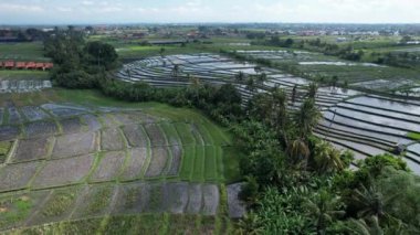 Bali, Endonezya - 11 Kasım 2022: Bali 'nin Turistik Çekim ve Yerleşkeleri