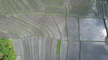 Bali, Endonezya - 11 Kasım 2022: Bali 'nin Turistik Çekim ve Yerleşkeleri