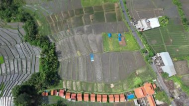 Bali, Endonezya - 11 Kasım 2022: Bali 'nin Turistik Çekim ve Yerleşkeleri