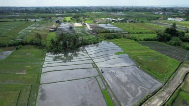 Bali, Endonezya - 11 Kasım 2022: Bali 'nin Turistik Çekim ve Yerleşkeleri