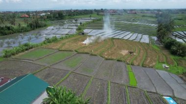 Bali, Endonezya - 11 Kasım 2022: Bali 'nin Turistik Çekim ve Yerleşkeleri