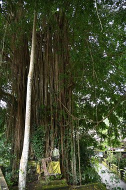 Bali, Endonezya - 11 Kasım 2022: Bali 'nin Turistik Çekim ve Yerleşkeleri