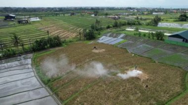 Bali, Endonezya - 11 Kasım 2022: Bali 'nin Turistik Çekim ve Yerleşkeleri
