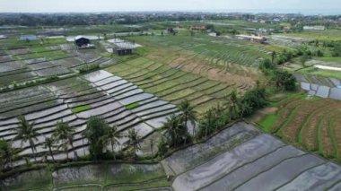 Bali, Endonezya - 11 Kasım 2022: Bali 'nin Turistik Çekim ve Yerleşkeleri