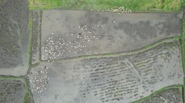 Bali, Endonezya - 11 Kasım 2022: Bali 'nin Turistik Çekim ve Yerleşkeleri