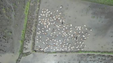 Bali, Endonezya - 11 Kasım 2022: Bali 'nin Turistik Çekim ve Yerleşkeleri