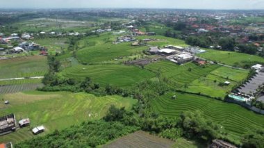 Bali, Endonezya - 11 Kasım 2022: Bali 'nin Turistik Çekim ve Yerleşkeleri