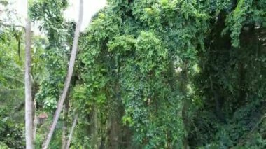 Bali, Endonezya - 11 Kasım 2022: Bali 'nin Turistik Çekim ve Yerleşkeleri