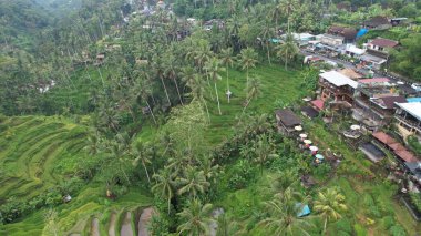 Bali, Endonezya - 11 Kasım 2022: Bali 'nin Turistik Çekim ve Yerleşkeleri