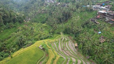 Bali, Endonezya - 11 Kasım 2022: Bali 'nin Turistik Çekim ve Yerleşkeleri