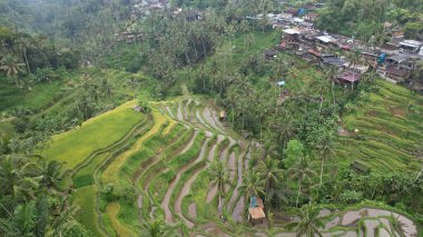 Bali, Endonezya - 11 Kasım 2022: Bali 'nin Turistik Çekim ve Yerleşkeleri