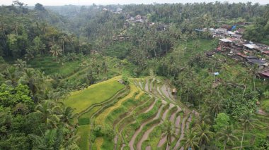 Bali, Endonezya - 11 Kasım 2022: Bali 'nin Turistik Çekim ve Yerleşkeleri