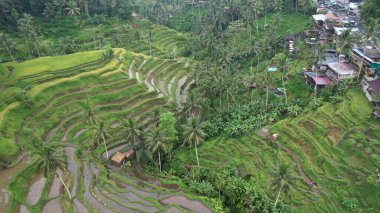 Bali, Endonezya - 11 Kasım 2022: Bali 'nin Turistik Çekim ve Yerleşkeleri