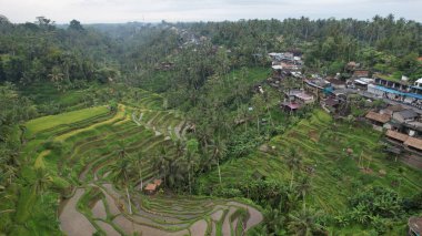 Bali, Endonezya - 11 Kasım 2022: Bali 'nin Turistik Çekim ve Yerleşkeleri