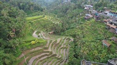 Bali, Endonezya - 11 Kasım 2022: Bali 'nin Turistik Çekim ve Yerleşkeleri