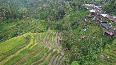 Bali, Endonezya - 11 Kasım 2022: Bali 'nin Turistik Çekim ve Yerleşkeleri