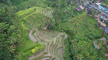 Bali, Endonezya - 11 Kasım 2022: Bali 'nin Turistik Çekim ve Yerleşkeleri