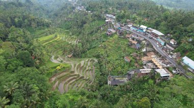 Bali, Endonezya - 11 Kasım 2022: Bali 'nin Turistik Çekim ve Yerleşkeleri