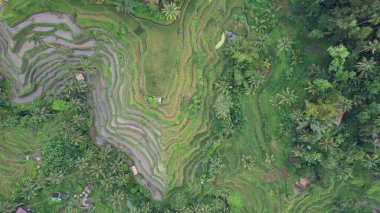 Bali, Endonezya - 11 Kasım 2022: Bali 'nin Turistik Çekim ve Yerleşkeleri