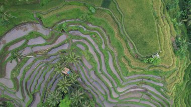 Bali, Endonezya - 11 Kasım 2022: Bali 'nin Turistik Çekim ve Yerleşkeleri