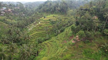 Bali, Endonezya - 11 Kasım 2022: Bali 'nin Turistik Çekim ve Yerleşkeleri