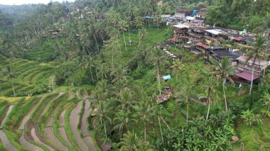 Bali, Endonezya - 11 Kasım 2022: Bali 'nin Turistik Çekim ve Yerleşkeleri