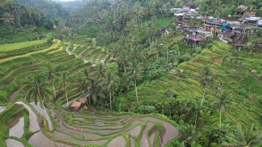 Bali, Endonezya - 11 Kasım 2022: Bali 'nin Turistik Çekim ve Yerleşkeleri