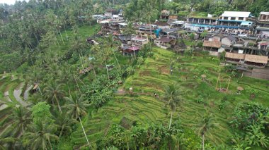 Bali, Endonezya - 11 Kasım 2022: Bali 'nin Turistik Çekim ve Yerleşkeleri