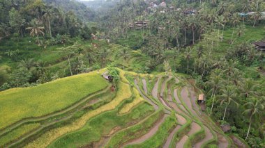 Bali, Endonezya - 11 Kasım 2022: Bali 'nin Turistik Çekim ve Yerleşkeleri