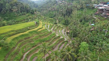 Bali, Endonezya - 11 Kasım 2022: Bali 'nin Turistik Çekim ve Yerleşkeleri
