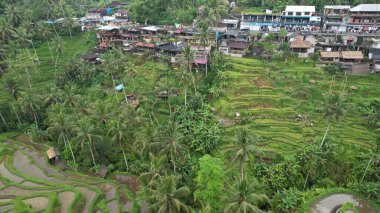 Bali, Endonezya - 11 Kasım 2022: Bali 'nin Turistik Çekim ve Yerleşkeleri