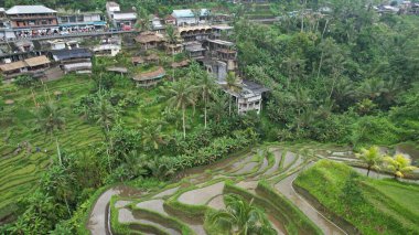 Bali, Endonezya - 11 Kasım 2022: Bali 'nin Turistik Çekim ve Yerleşkeleri