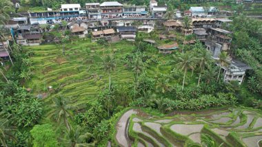 Bali, Endonezya - 11 Kasım 2022: Bali 'nin Turistik Çekim ve Yerleşkeleri