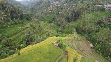 Bali, Endonezya - 11 Kasım 2022: Bali 'nin Turistik Çekim ve Yerleşkeleri