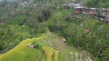 Bali, Endonezya - 11 Kasım 2022: Bali 'nin Turistik Çekim ve Yerleşkeleri
