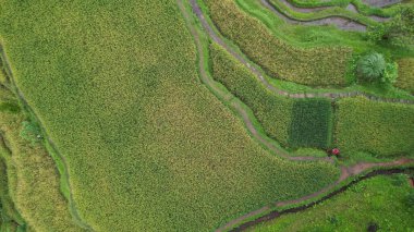 Bali, Endonezya - 11 Kasım 2022: Bali 'nin Turistik Çekim ve Yerleşkeleri