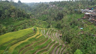 Bali, Endonezya - 11 Kasım 2022: Bali 'nin Turistik Çekim ve Yerleşkeleri