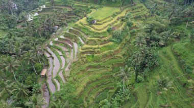 Bali, Endonezya - 11 Kasım 2022: Bali 'nin Turistik Çekim ve Yerleşkeleri