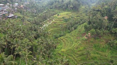 Bali, Endonezya - 11 Kasım 2022: Bali 'nin Turistik Çekim ve Yerleşkeleri