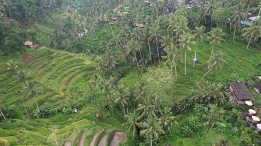 Bali, Endonezya - 11 Kasım 2022: Bali 'nin Turistik Çekim ve Yerleşkeleri